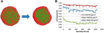 Advances in platinum-based and platinum-free oxygen reduction reaction catalysts for cathodes in direct methanol fuel cells